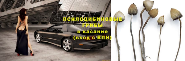 ГАЛЛЮЦИНОГЕННЫЕ ГРИБЫ Абдулино