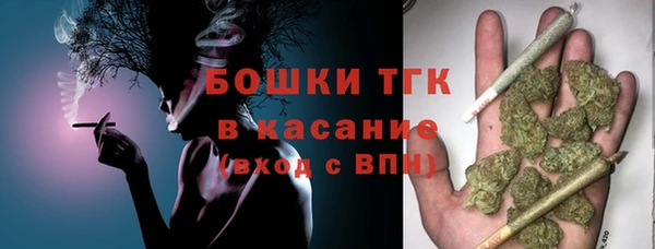 дурь Пересвет