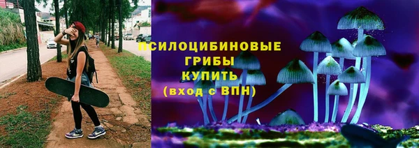 a pvp Абинск