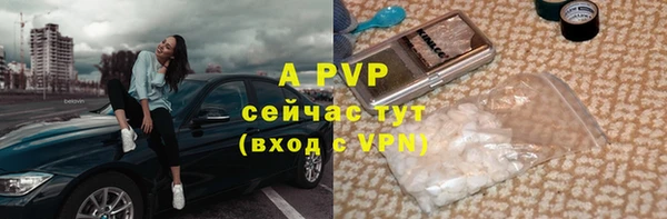 амф Абаза
