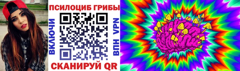 blacksprut ссылка  купить  цена  Кяхта  Галлюциногенные грибы прущие грибы 